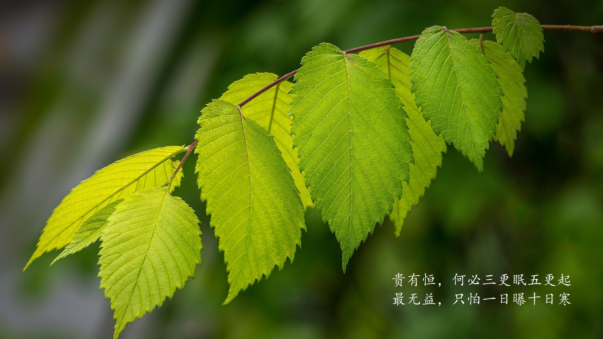 《CS_GO最强之战,实战考验战队技战术水平》,csgo顶级战术