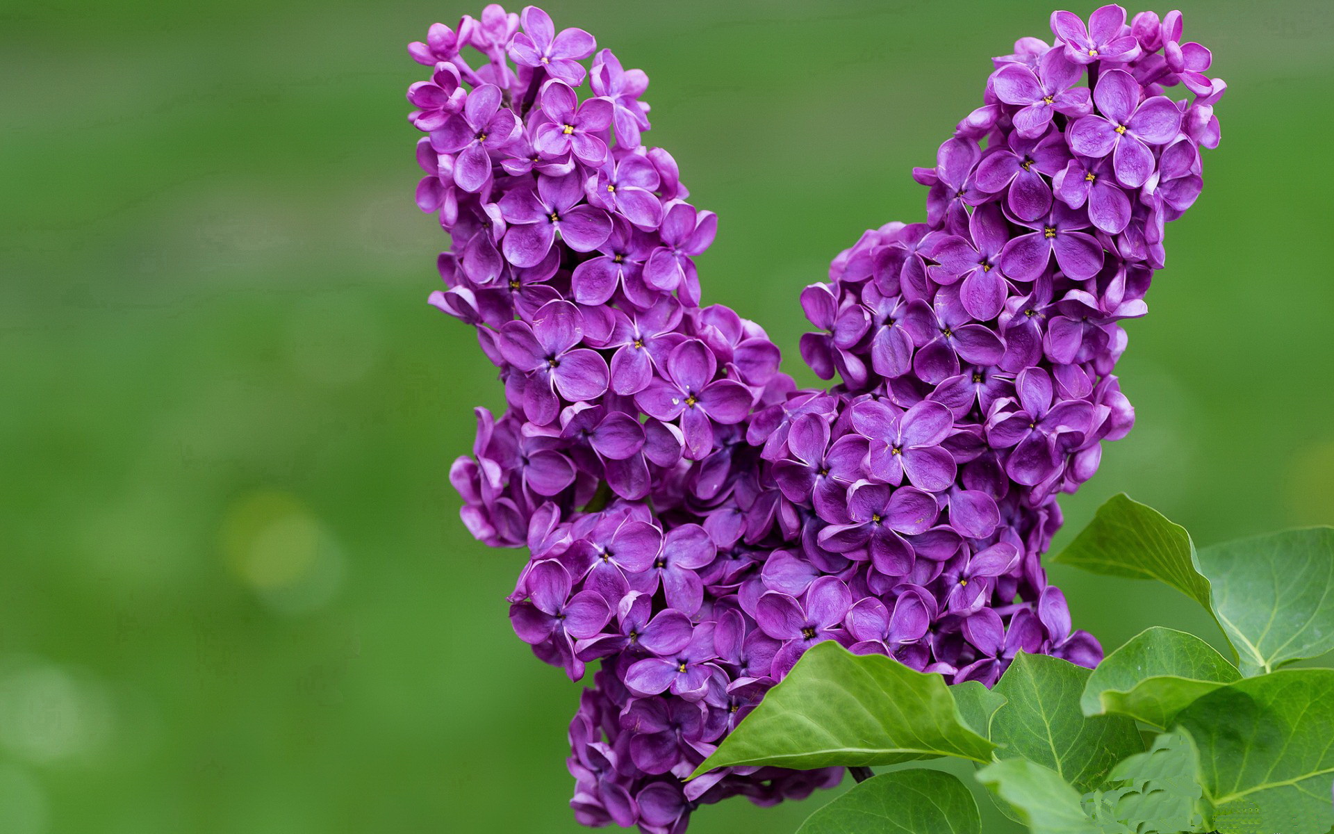 【运动员专访】丁俊晖:如何用科学训练突破自我?,丁俊晖教学示范视频