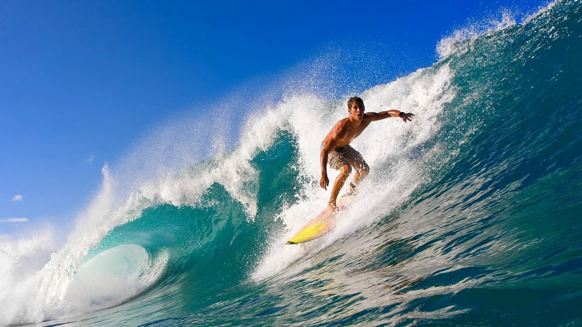 陈佳佩拉卡尼同组较量蝶泳决赛